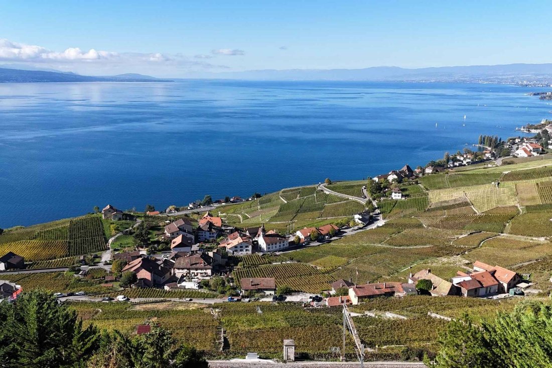 Villa à Grandvaux, Bourg-en-Lavaux, Suisse 3 - 19176883