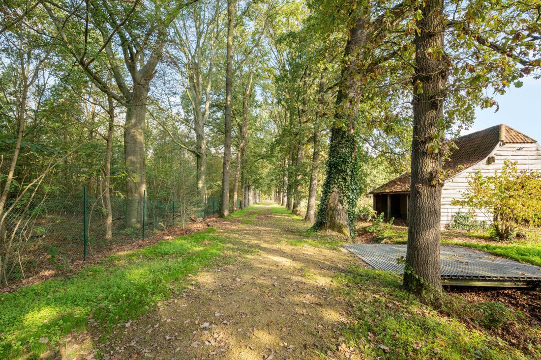 Villa in Herenthout, Flanders, Belgium 4 - 19176009