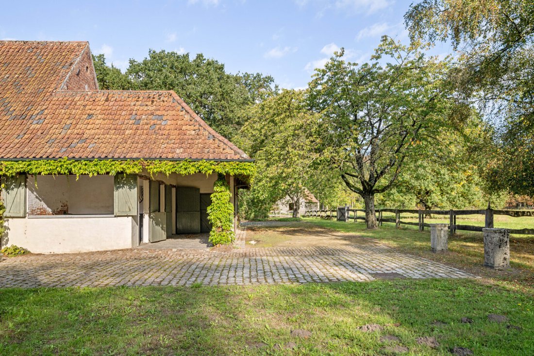 Villa in Herenthout, Flanders, Belgium 3 - 19176009