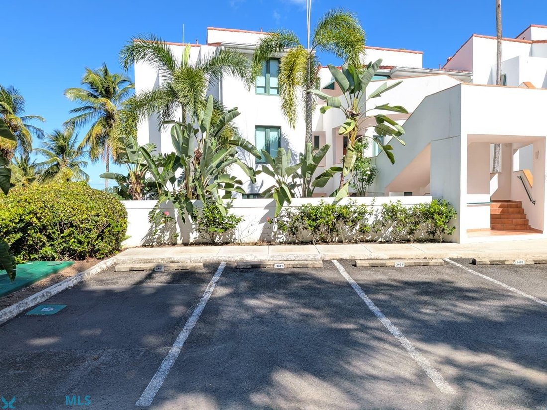 Wohnung in Palmer, Río Grande, Puerto Rico 3 - 19180548