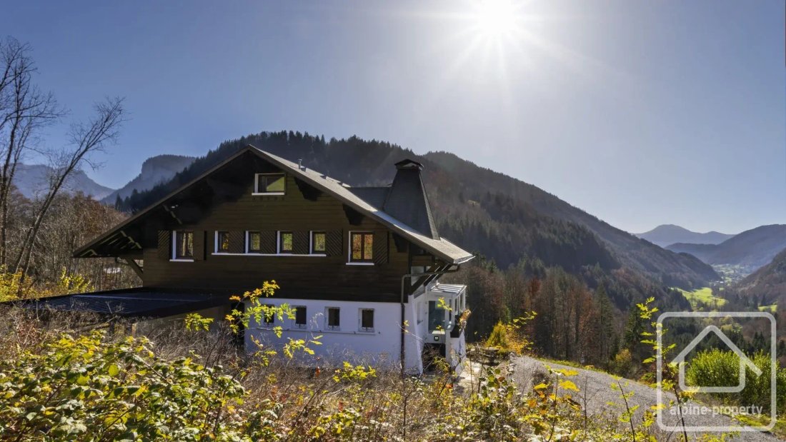 Chalet in Bellevaux, Auvergne-Rhône-Alpes, France 4 - 19170217