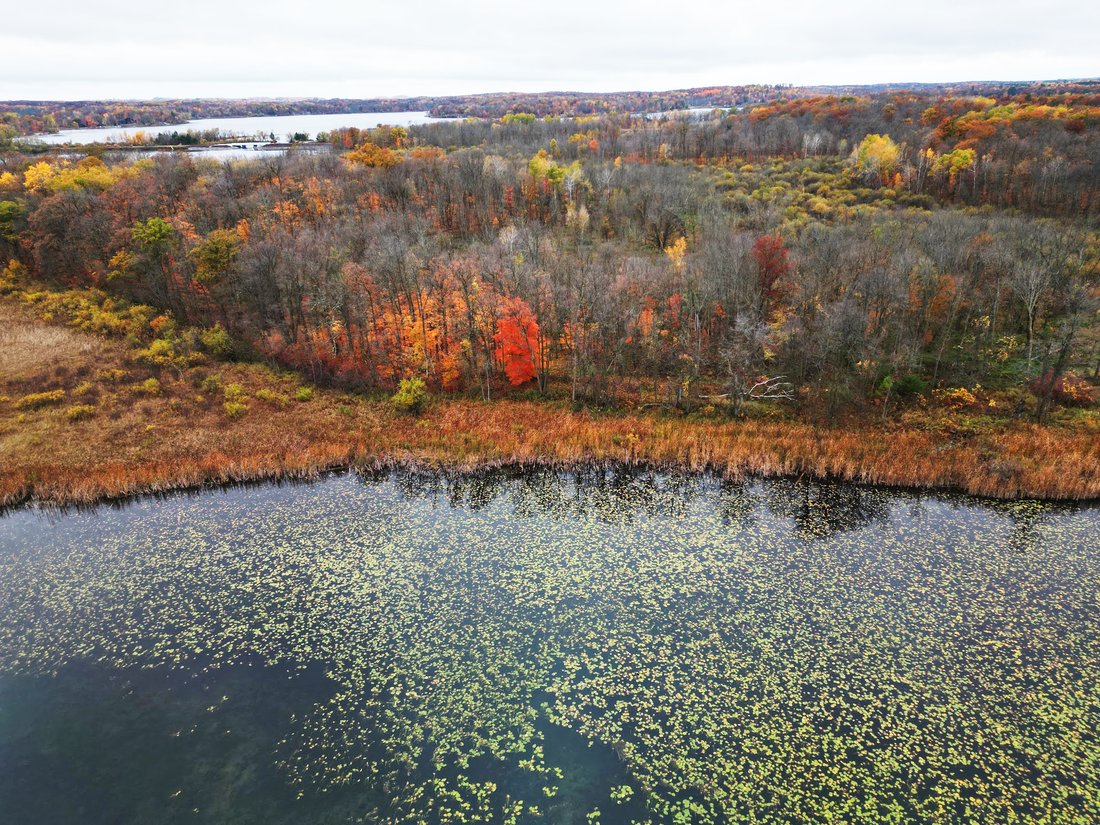 Terrain à Aitkin, Minnesota, États-Unis 5 - 19176498