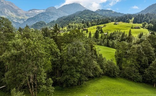 Chalet in Lauenen, Kanton Bern, Schweiz 1