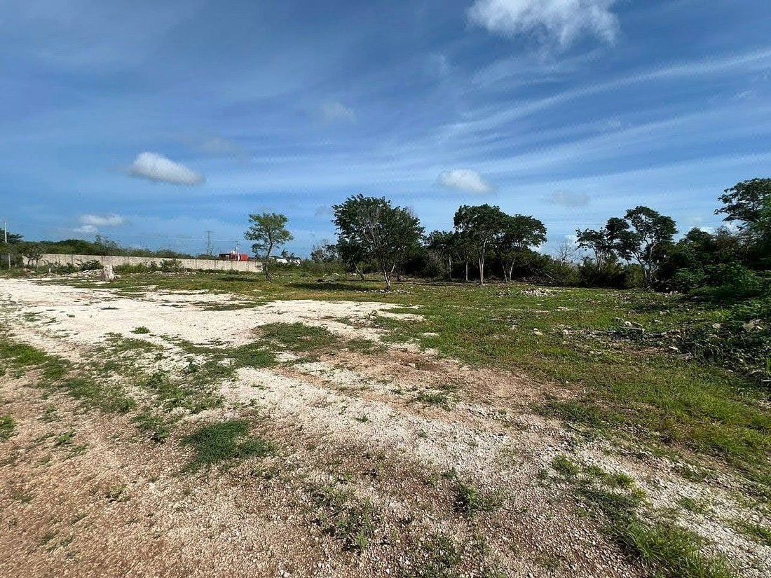 Terreno a Temozón Norte, Yucatán, Messico 2 - 19178423