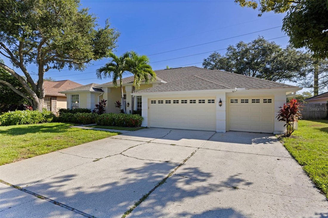 House in Palm Harbor, Florida, United States 3 - 19170807