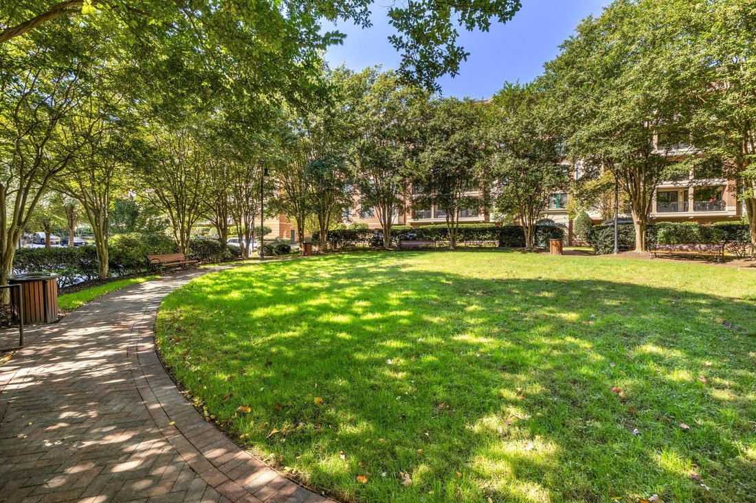 Condo in North Bethesda, Maryland, United States 4 - 19176213