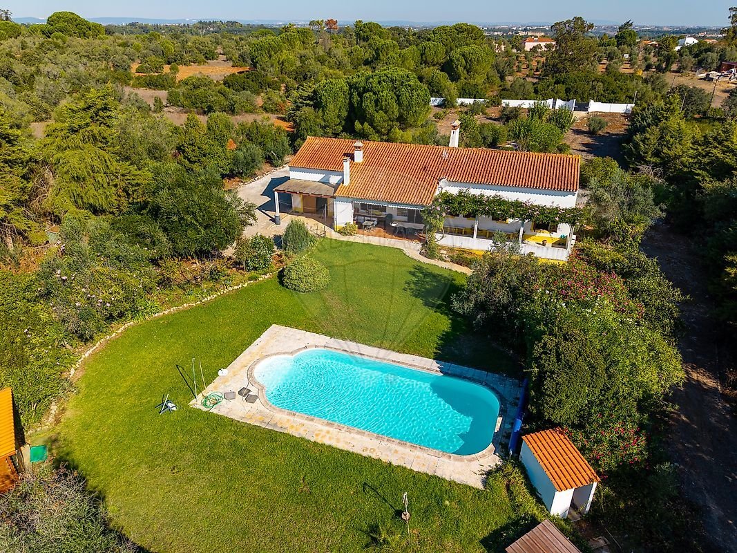 Finca in Almoster, Santarem District, Portugal 1 - 19169526