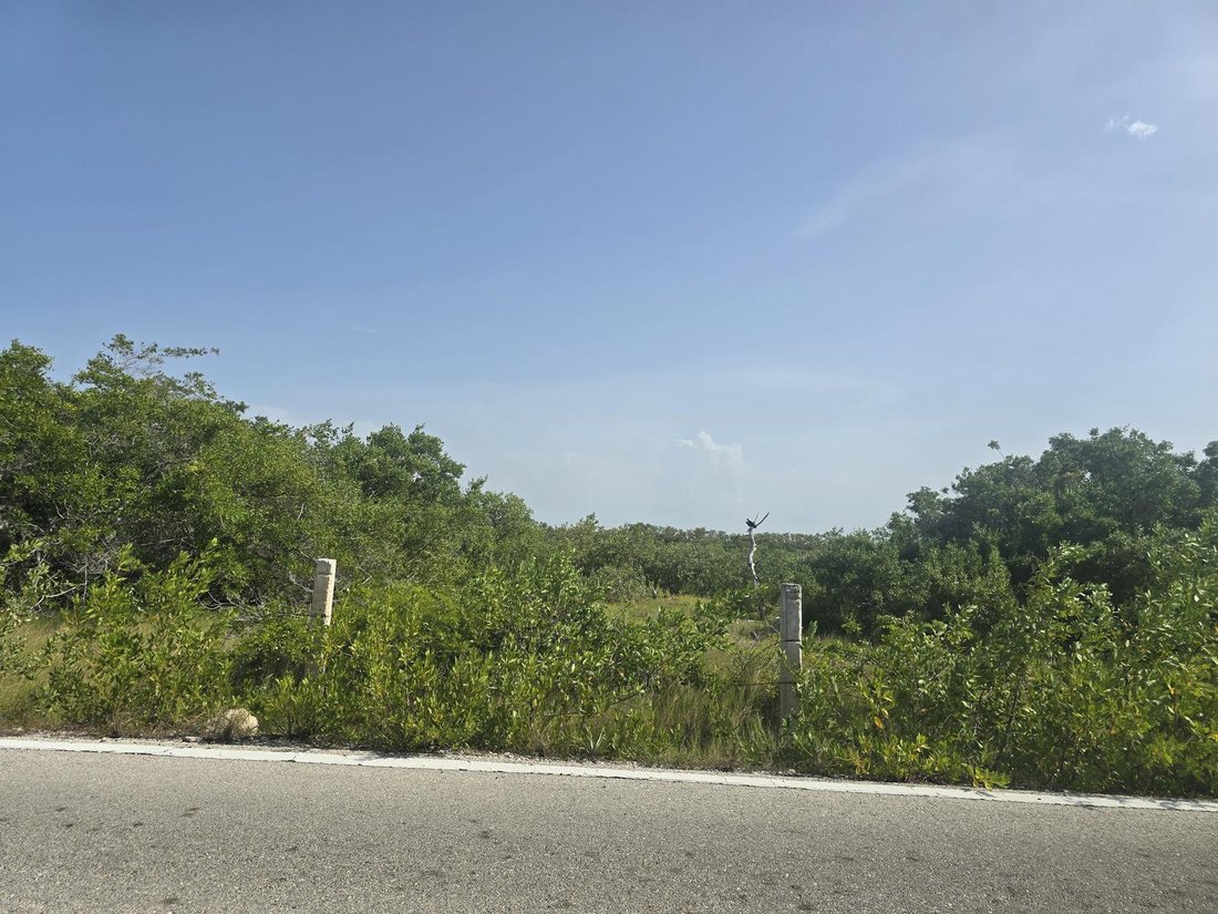 Land in Chabihau, Yucatan, Mexico 1 - 19173102