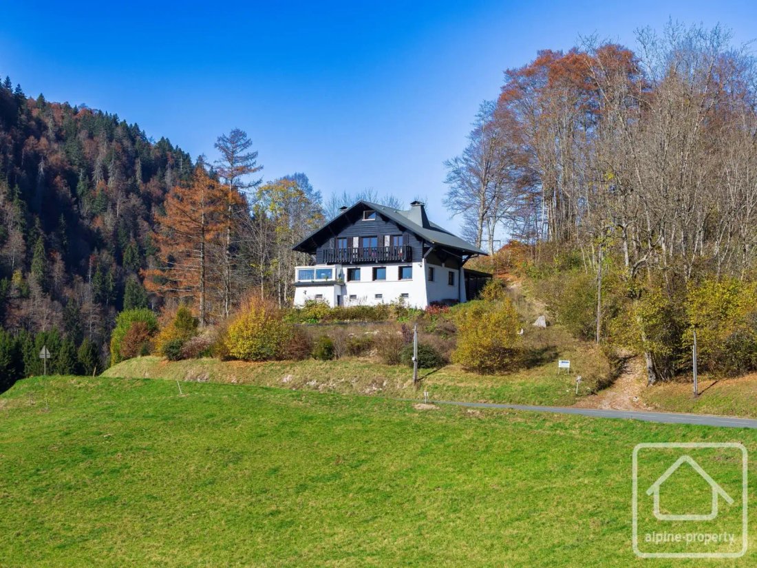 Chalet in Bellevaux, Auvergne-Rhône-Alpes, France 1 - 19170217