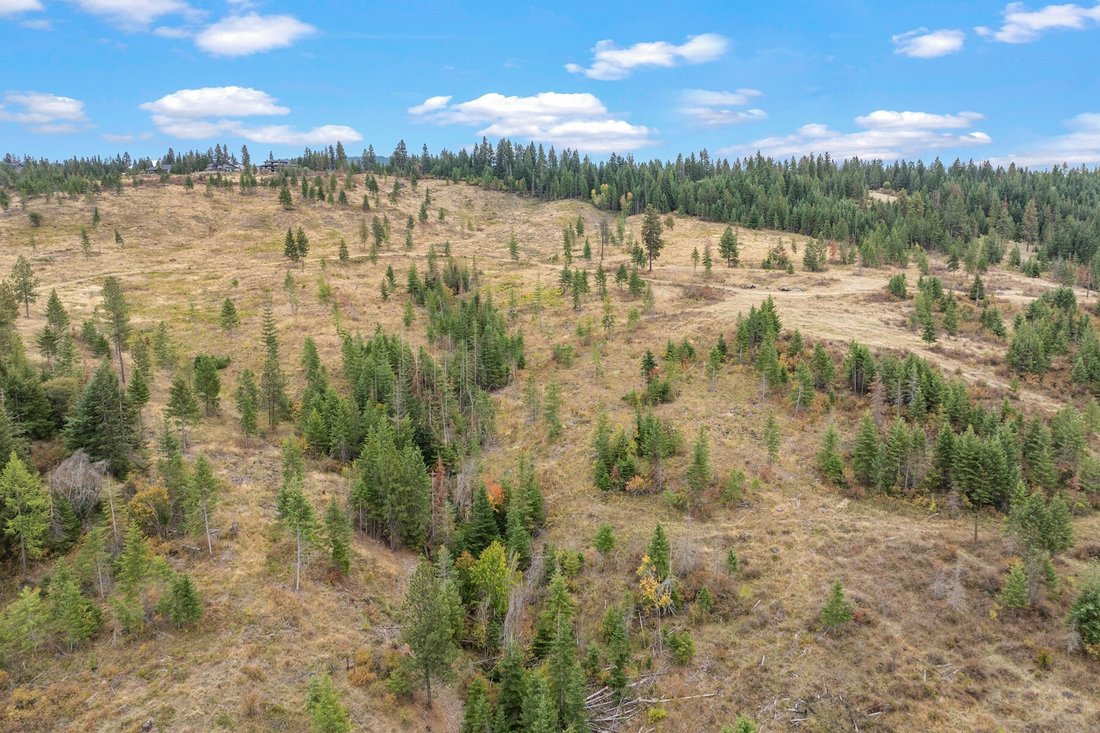 Terreno a Harrison, Idaho, Stati Uniti 5 - 19174532