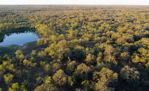Terreno a Graham, Texas, Stati Uniti 1