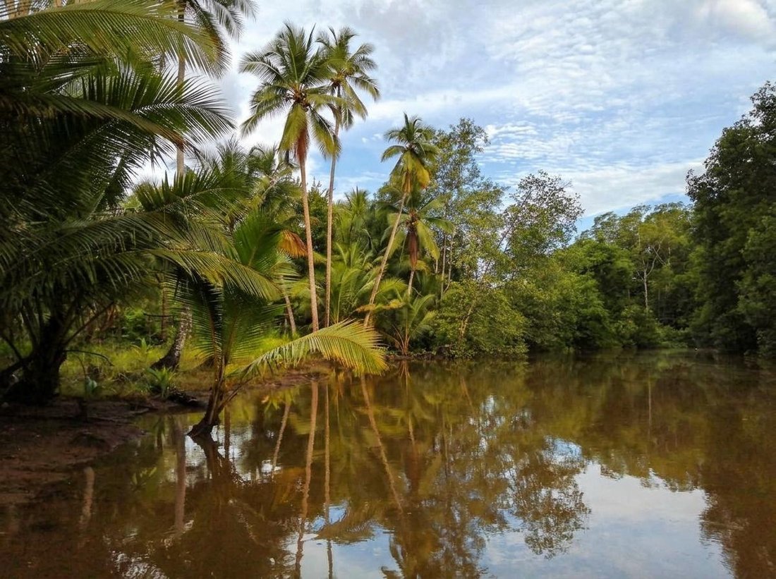 Land in Pedregal, Chiriquí Province, Panama 2 - 19178390