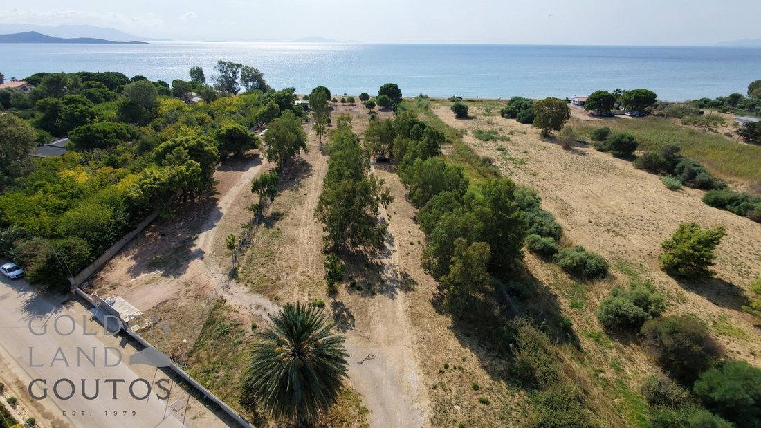Terrain à East Attica, Attique, Grèce 4 - 19169707