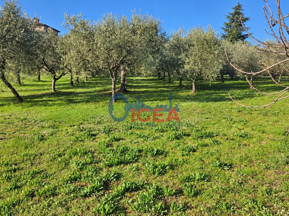 Country House in Torrita di Siena, Tuscany, Italy 5 - 19173016
