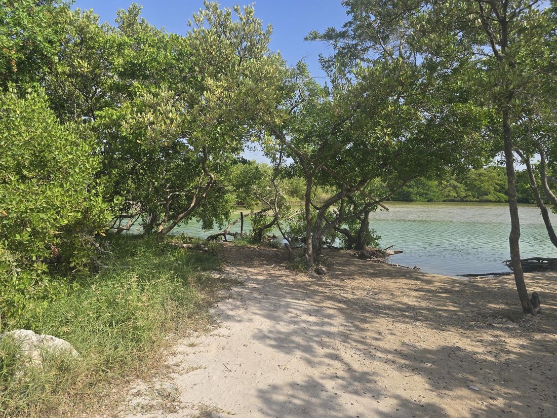 Land in Chabihau, Yucatan, Mexico 5 - 19173102