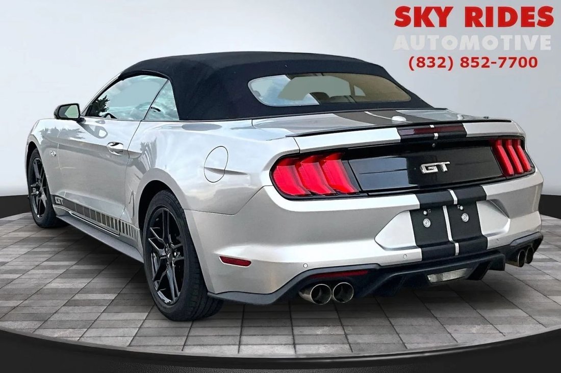 Cabriolet in Houston, TX, United States 4 - 19170625