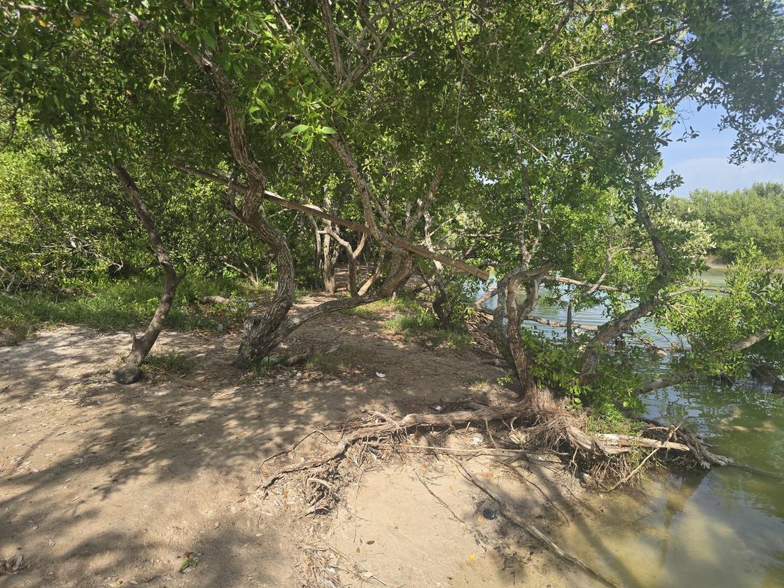 Land in Chabihau, Yucatan, Mexico 4 - 19173102