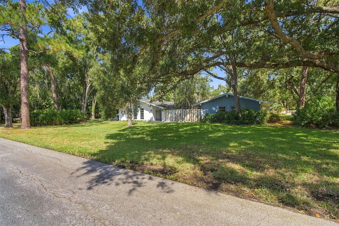 House in Clearwater, Florida, United States 3 - 19176998