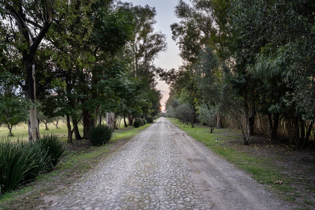 Land in Viñedos San Lucas, Guanajuato, Mexico 1 - 19175278
