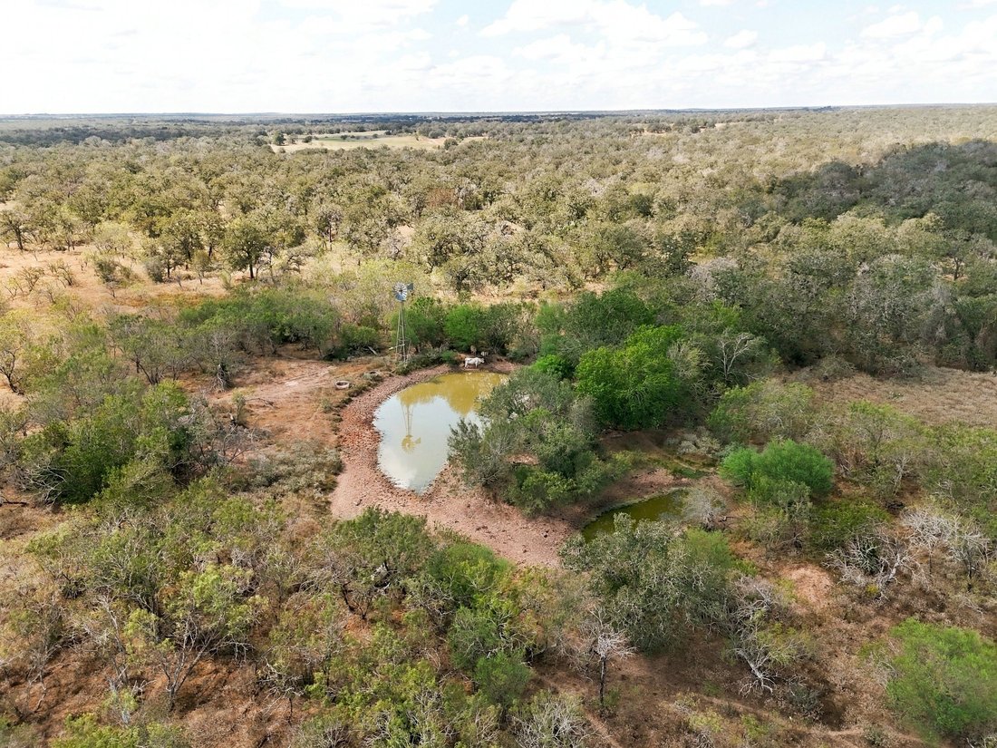 Rancho en Nixon, Texas, Estados Unidos 1 - 19171144