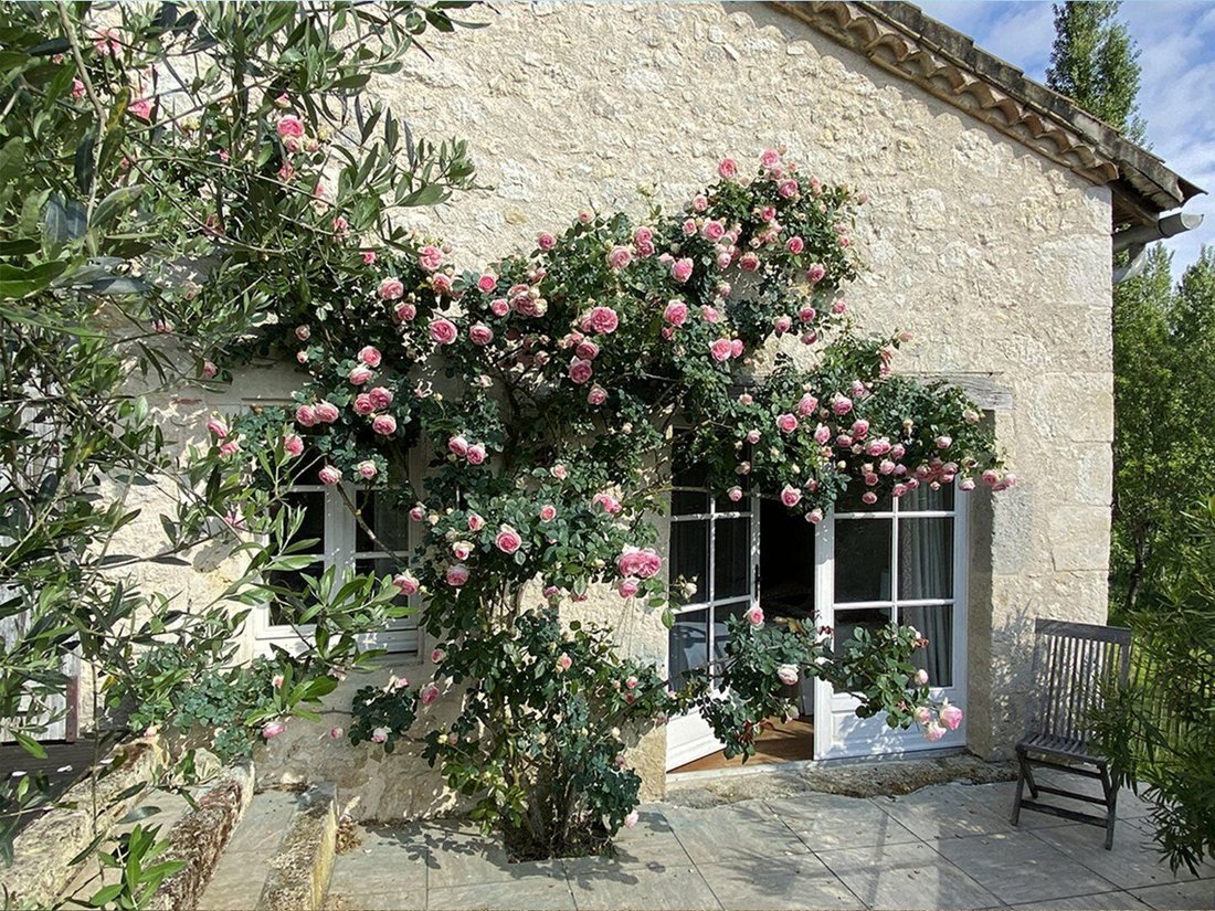 Villa in Saint-Mézard, Occitania, France 4 - 19170926