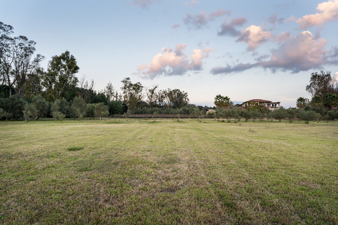 Land in Viñedos San Lucas, Guanajuato, Mexico 2 - 19175278