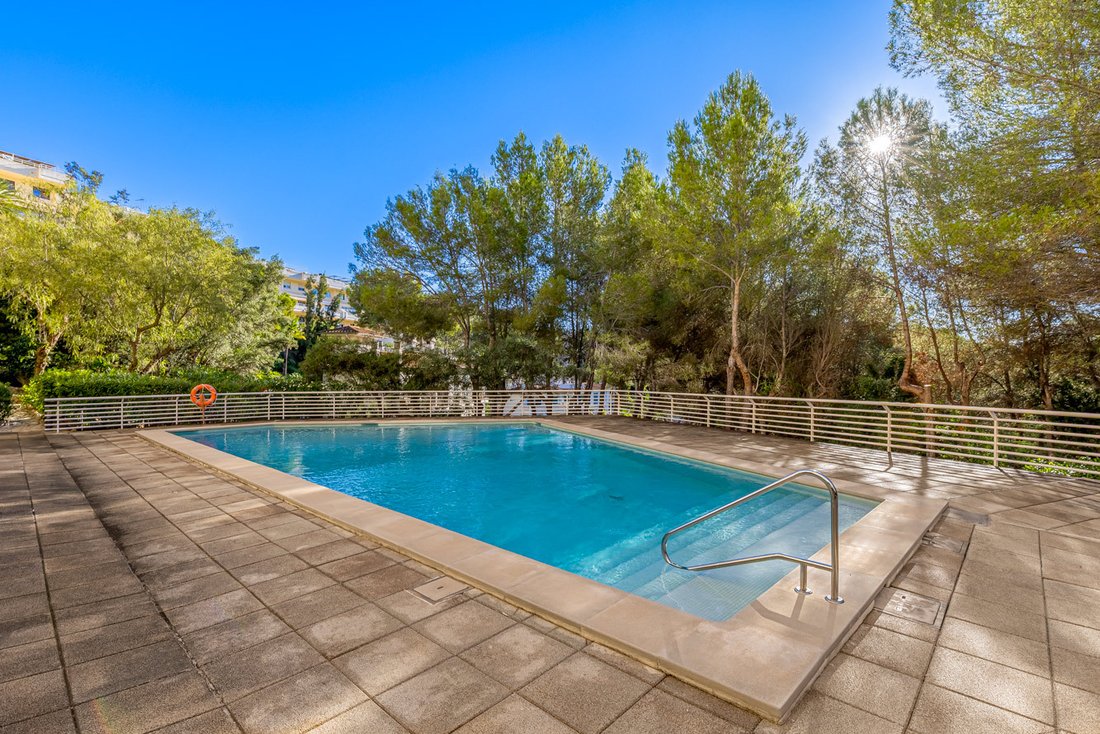 Appartement à Cas Català, Calvià, Îles Baléares 3 - 19172833