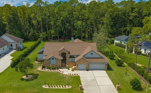 Casa a Trinity, Florida, Stati Uniti 1