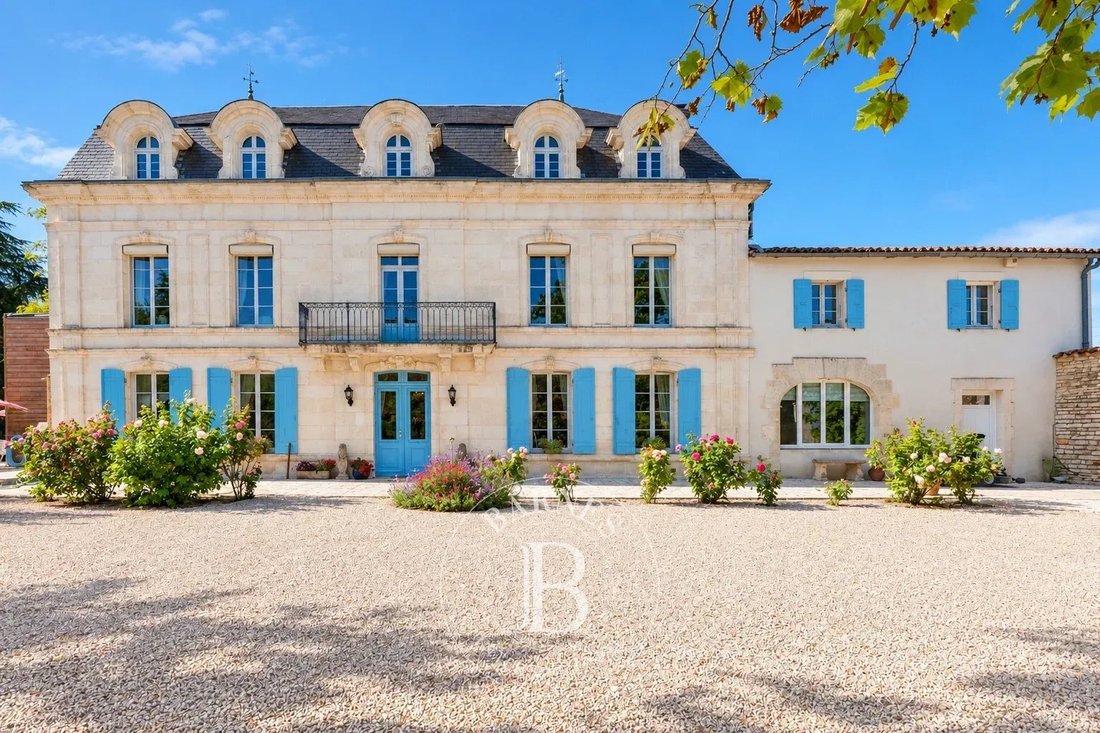 Estate in Nantillé, Nouvelle-Aquitaine, France 1 - 19169990