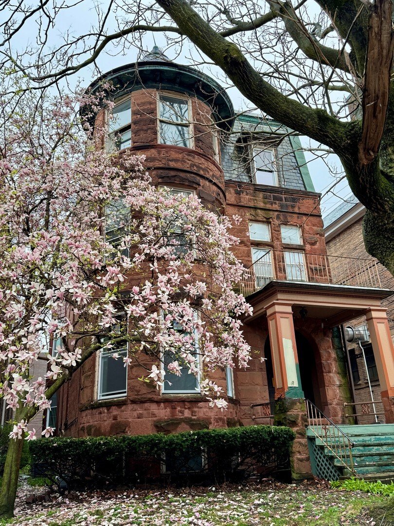 Otros en Oak Park, Illinois, Estados Unidos 1 - 19175496