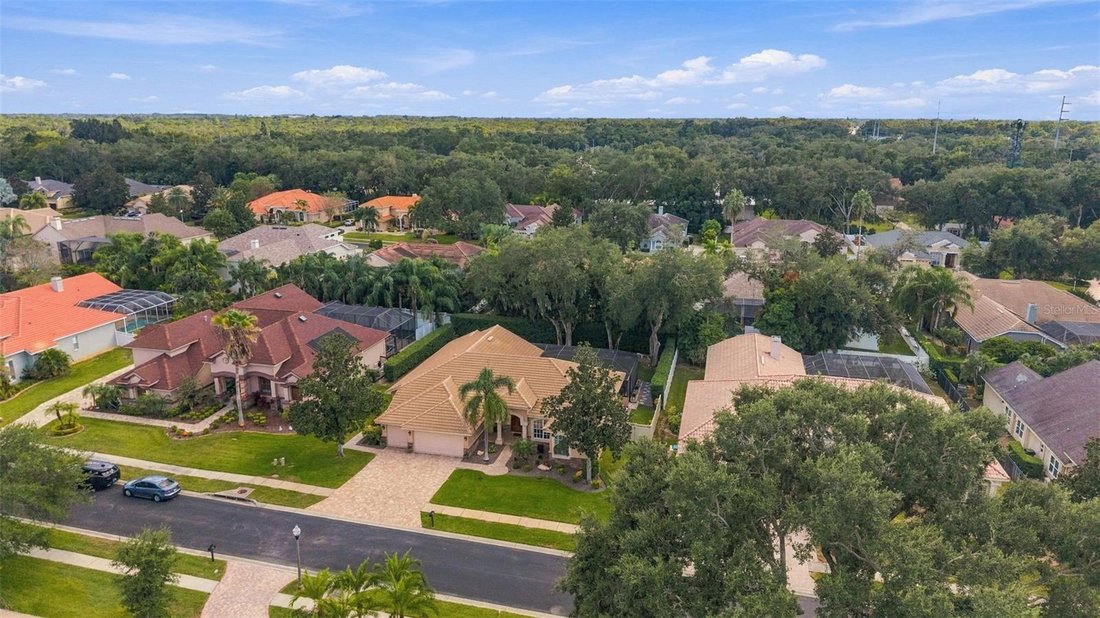 Casa a Palm Harbor, Florida, Stati Uniti 3 - 19169108