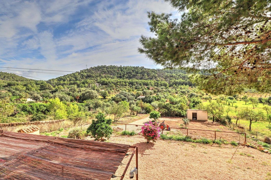 Casa a Calvià, Isole Baleari, Spagna 4 - 19171373