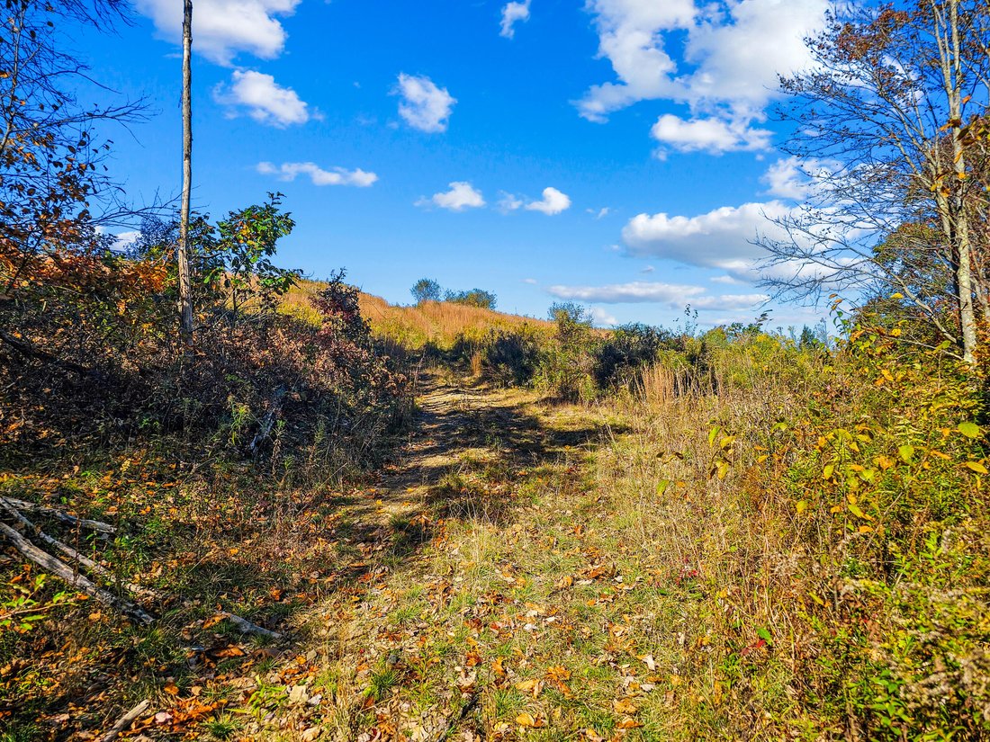Farm Ranch in Woodland, Pennsylvania, United States 1 - 19173943