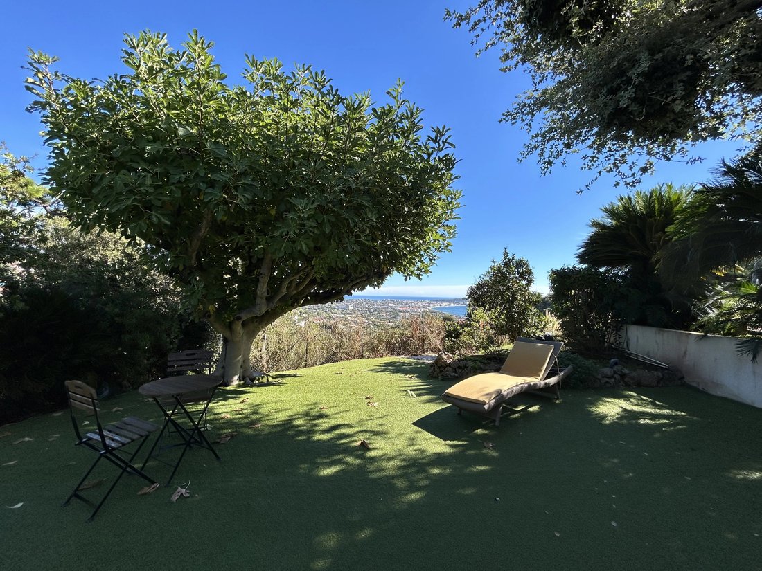 Villa à La Maure-Super Cannes, Vallauris, France 4 - 19169478
