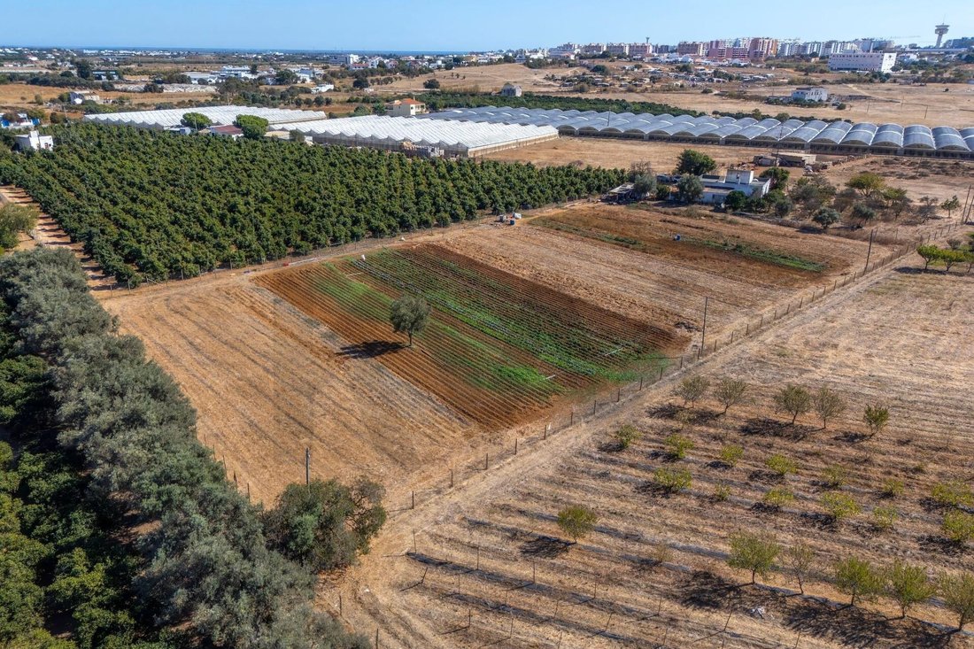 Casa de Campo en Faro (Se y Sao Pedro), Algarve, Portugal 3 - 19179884