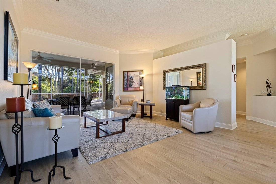 House in Palm Harbor, Florida, United States 5 - 19170807