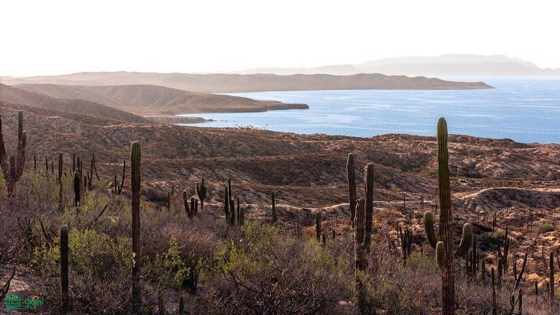 Land in Puerto Mexia, Baja California Sur, Mexico 1 - 19176938