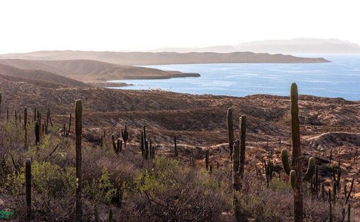 Terreno a Puerto Mexia, Bassa California del Sud, Messico 1