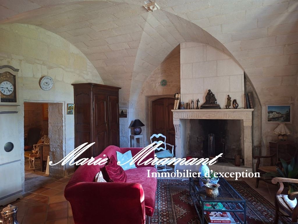 Estate in Arles, Provence-Alpes-Côte d'Azur, France 4 - 19177251