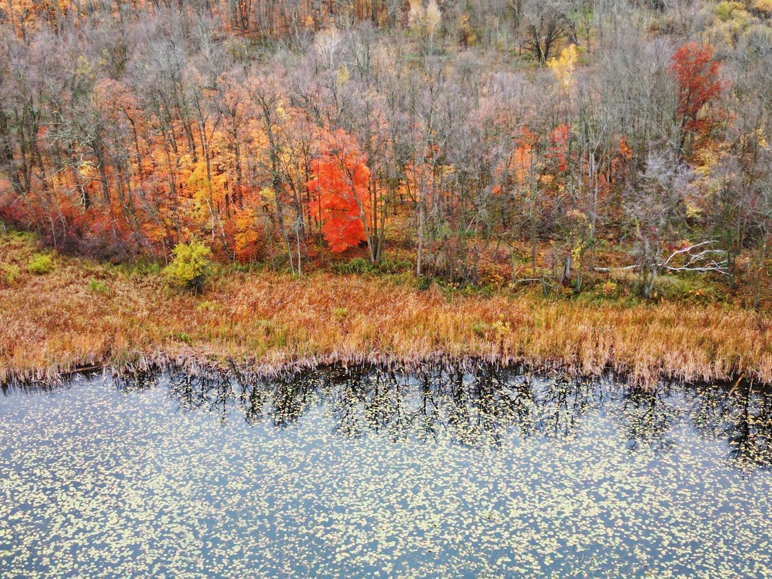 Terrain à Aitkin, Minnesota, États-Unis 2 - 19176498