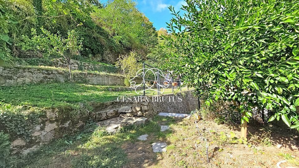 House in Condrieu, Auvergne-Rhône-Alpes, France 4 - 19174386