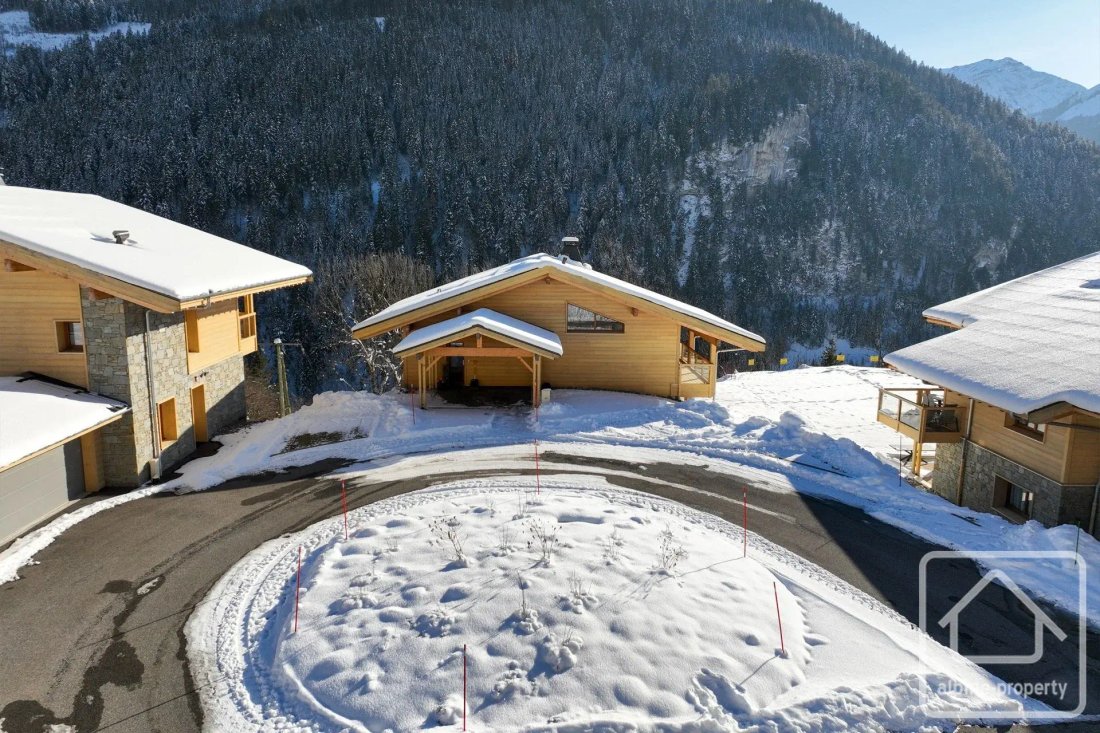 Chalet in Abondance, Auvergne-Rhône-Alpes, France 2 - 19170243
