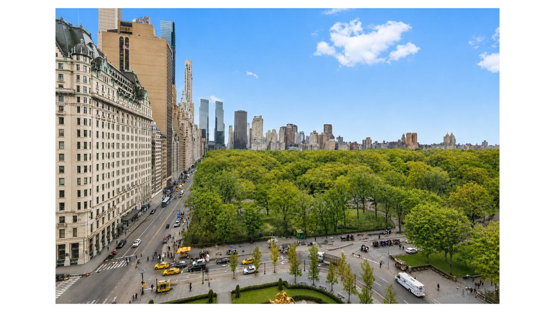 Autres à New York, État de New York, États-Unis 4 - 19173246