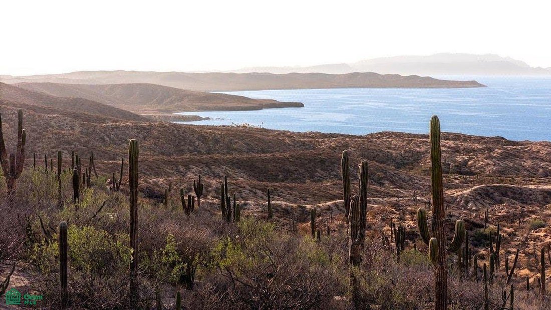 Land in Puerto Mexia, Baja California Sur, Mexico 1 - 19176941