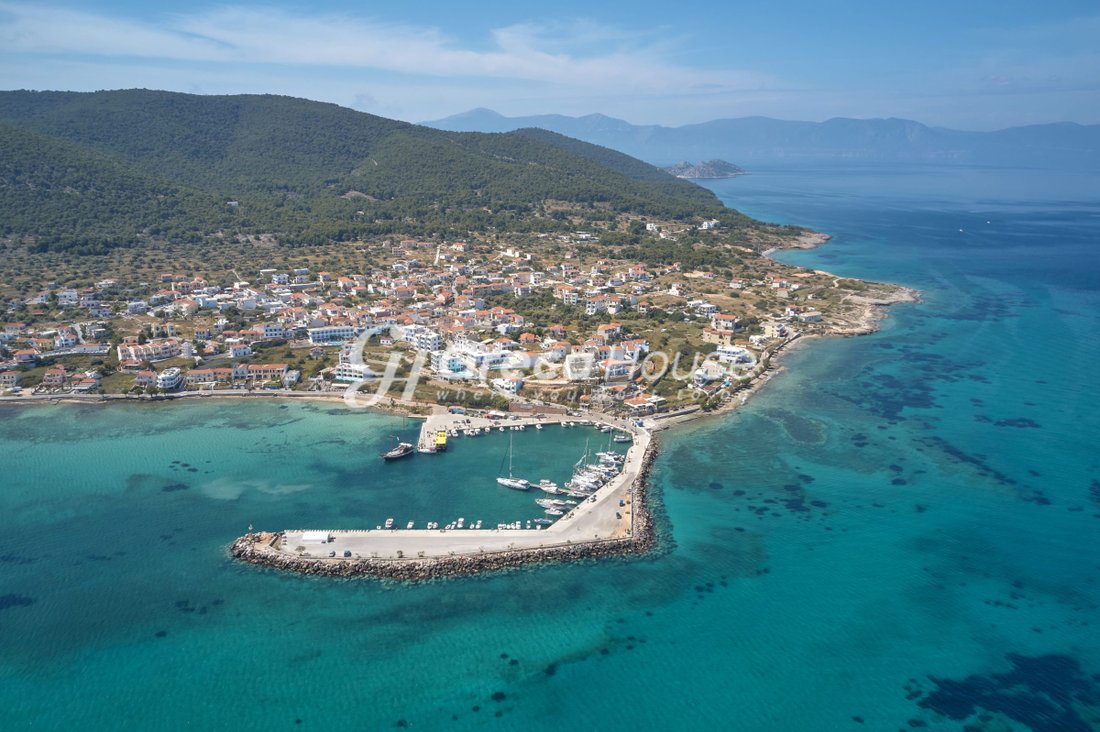 Autres à Palea Fokea, Attique, Grèce 1 - 19176001