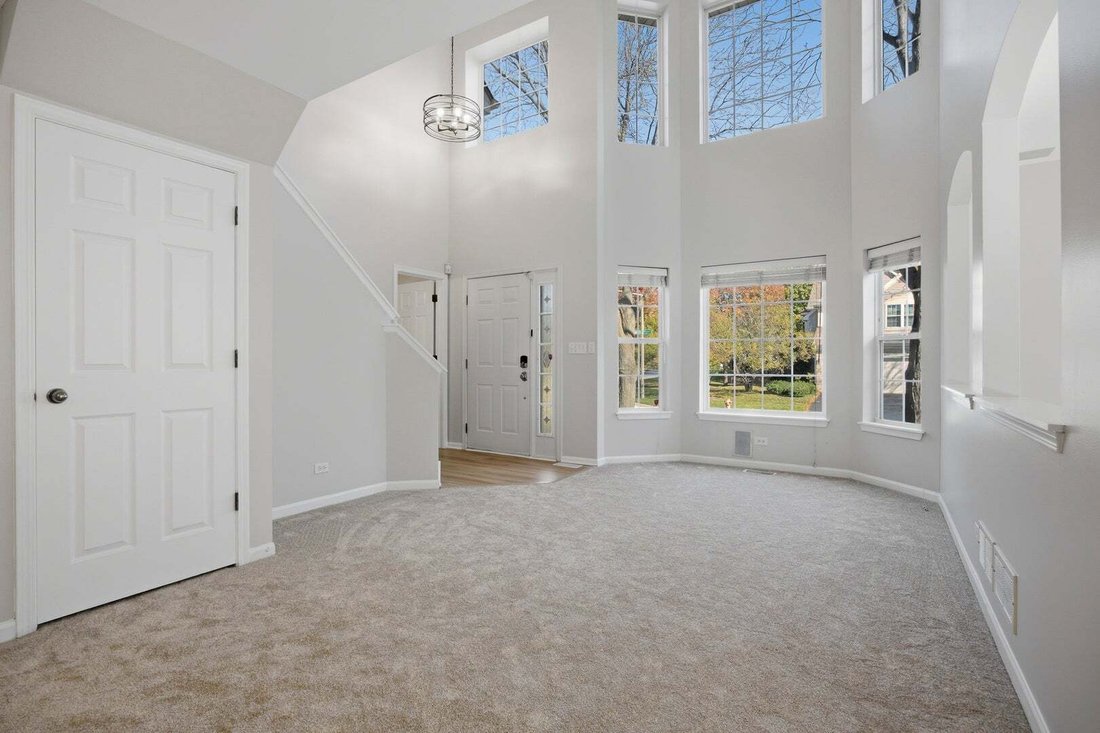 Residenza a Lisle, Illinois, Stati Uniti 5 - 19172285