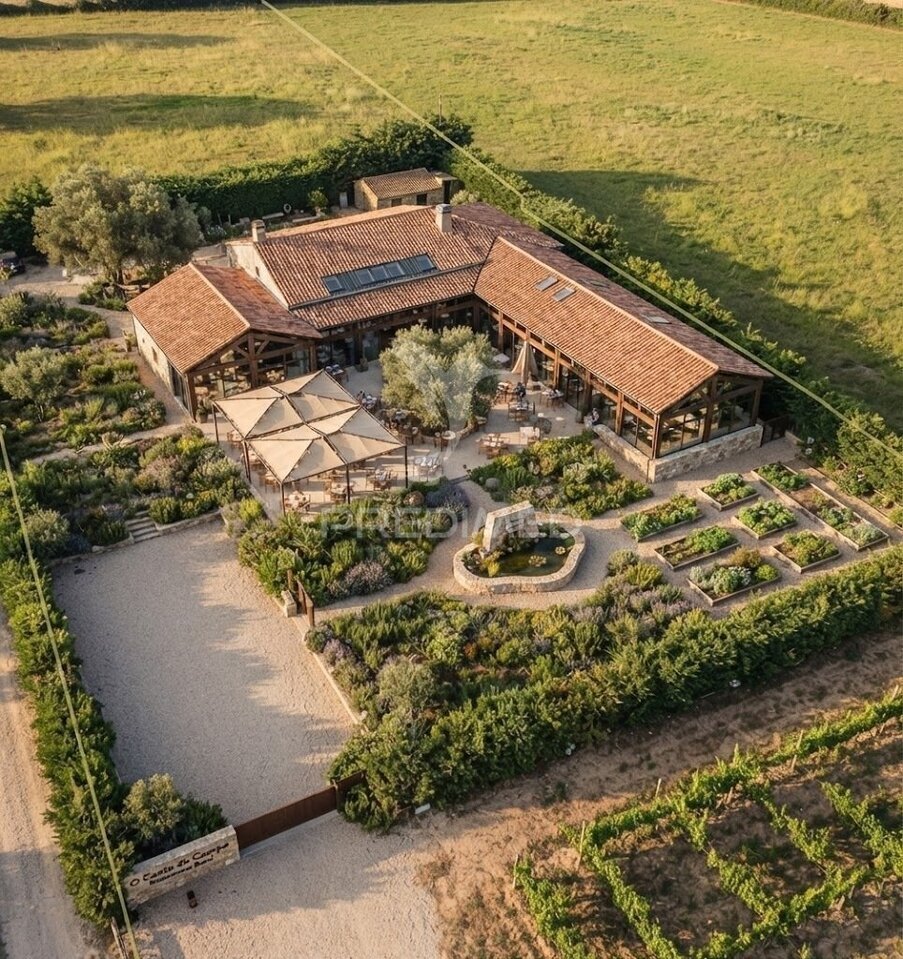 Farm Ranch in S.Teotónio, Beja District, Portugal 5 - 19179785