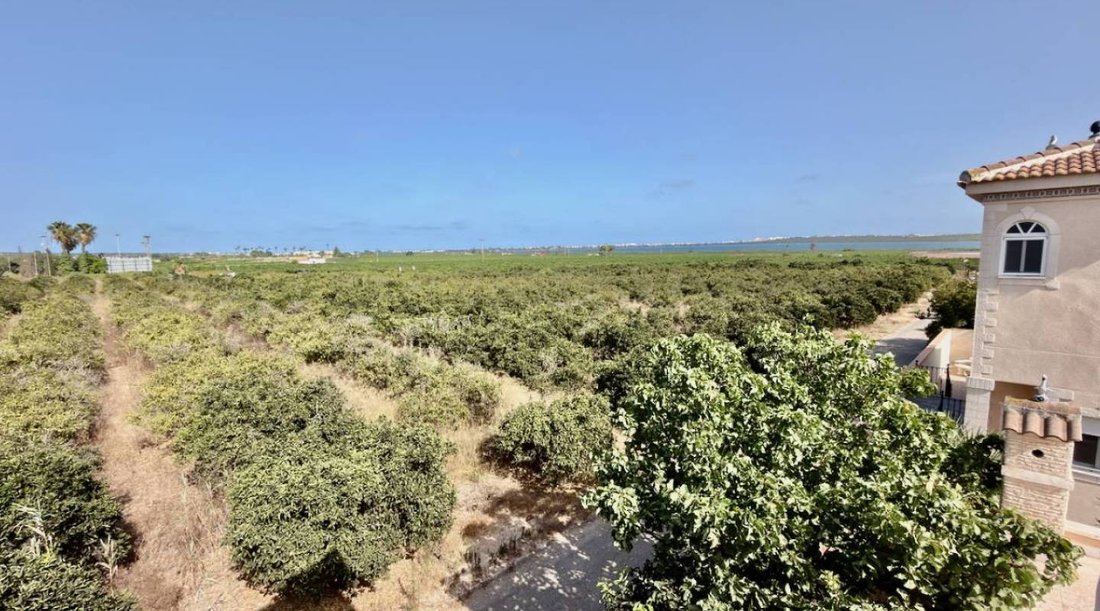Villa in Quesada, Rojales, Land Valencia 4 - 19173157