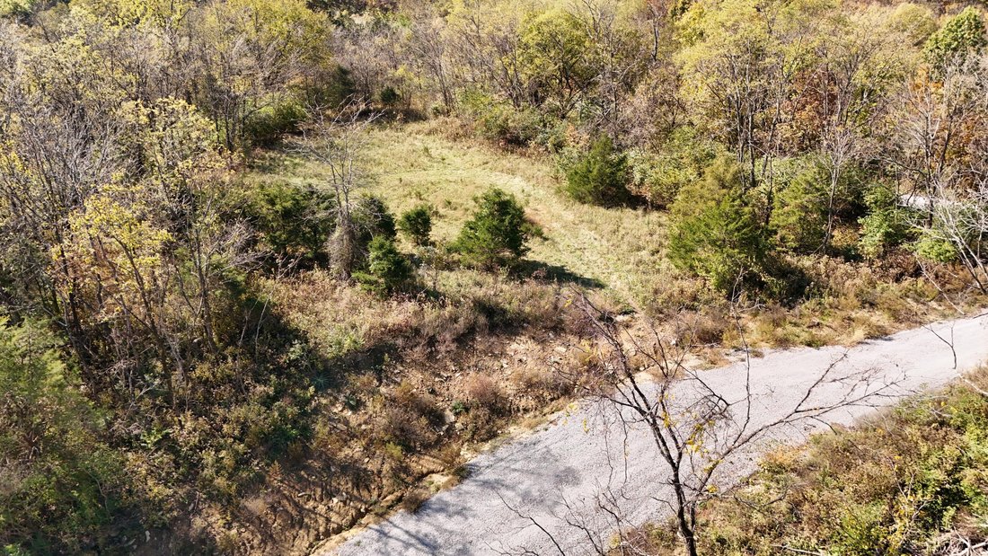 Land in Carlisle, Kentucky, Vereinigte Staaten 1 - 19177326