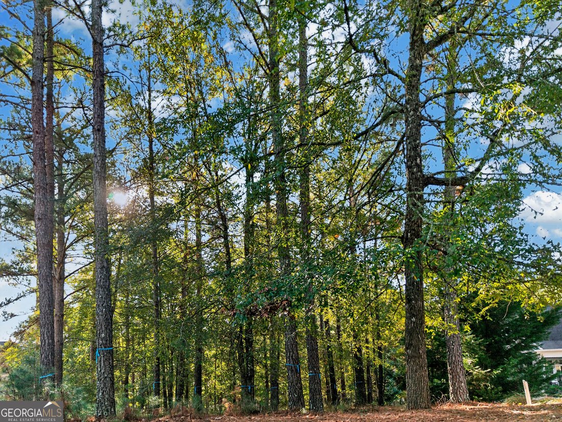 Land in Greensboro, Georgia, United States 1 - 19170720